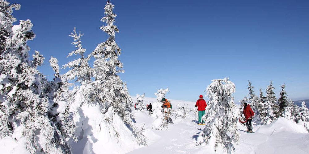 https://cevennes-evasion.fr/wp-content/uploads/2019/01/randonnée-mont-Lozère.jpg