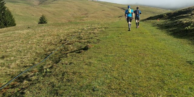 Trail sur le chemin Stevenson