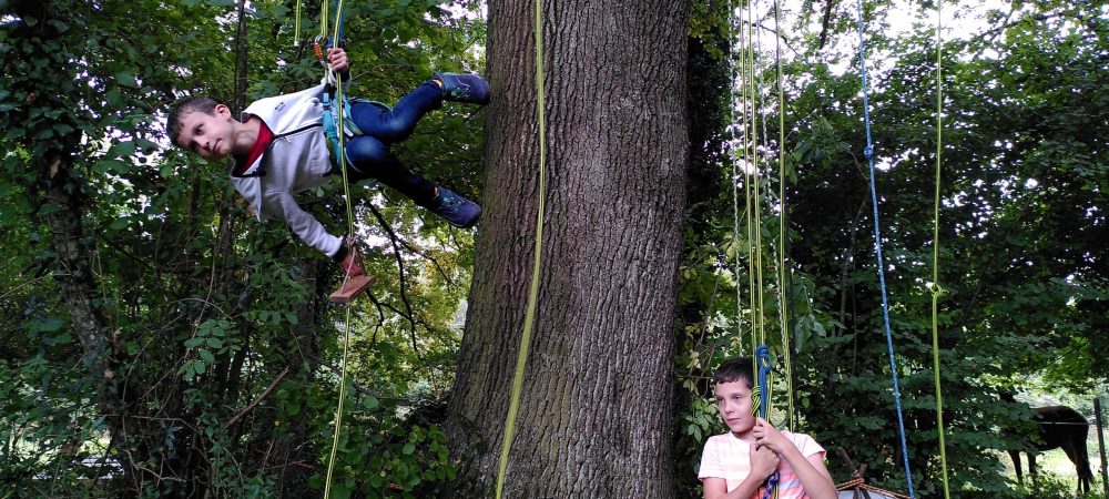 Grimpe d&rsquo;Arbres